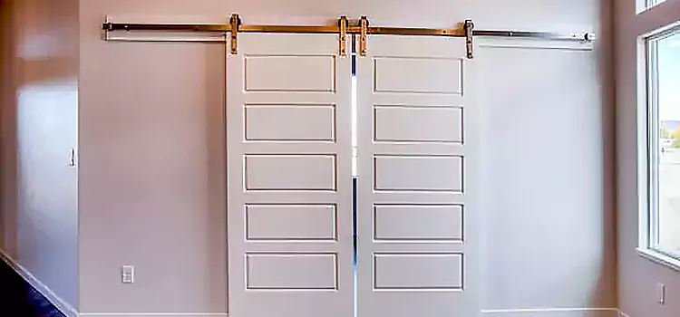 Glass Barn Door with Installation Hardware Kit Stanton